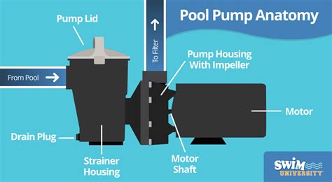 centrifugal pool pump|how does a pool pump work.